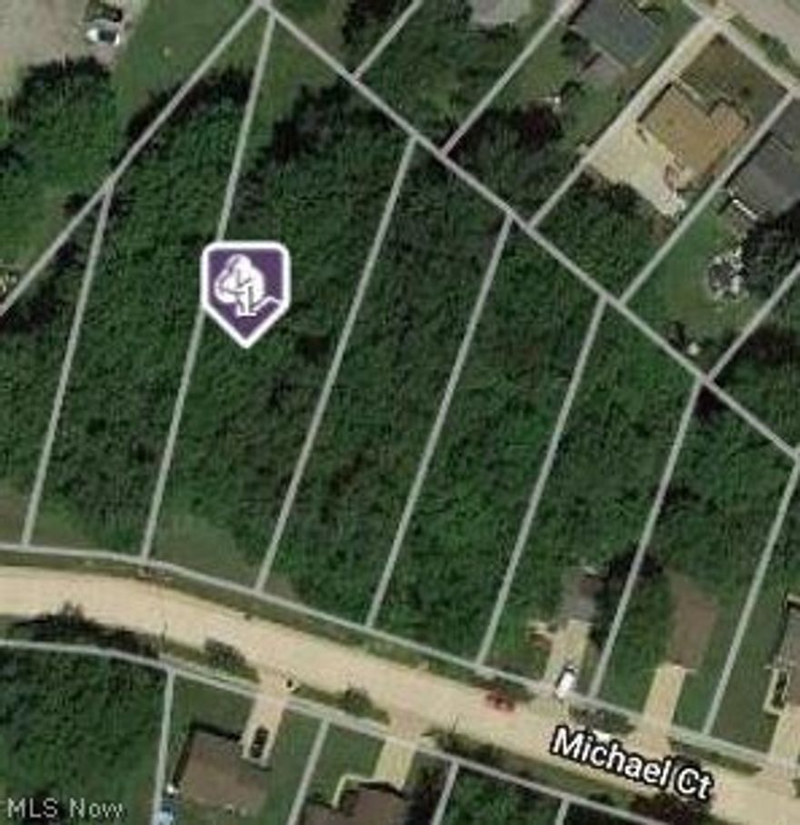 Welcome to Michael Ct with 10 lots available priced at $25,600 each. A quiet affordable cul-de-sac street, utilities in & paid for, minutes to Route 44 & Route 2. New construction Tax abatement: It is a 10 year, 100% CRA declining 10% each year over the 10 year period, first year new owner pays taxes on lot only, building tax is abated 100% first year and then building tax abatement declines by 10% each year thereafter.