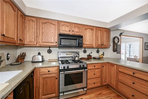 Tiny photo for 30875 Cannon Road, Solon, OH 44139 (MLS # 5183479)