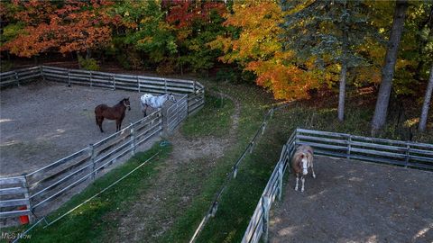 Tiny photo for 30875 Cannon Road, Solon, OH 44139 (MLS # 5183479)