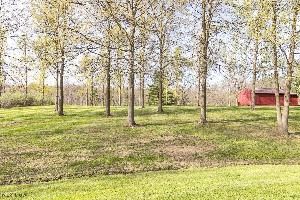 9585 Shaw Road, Spencer, Ohio image 39