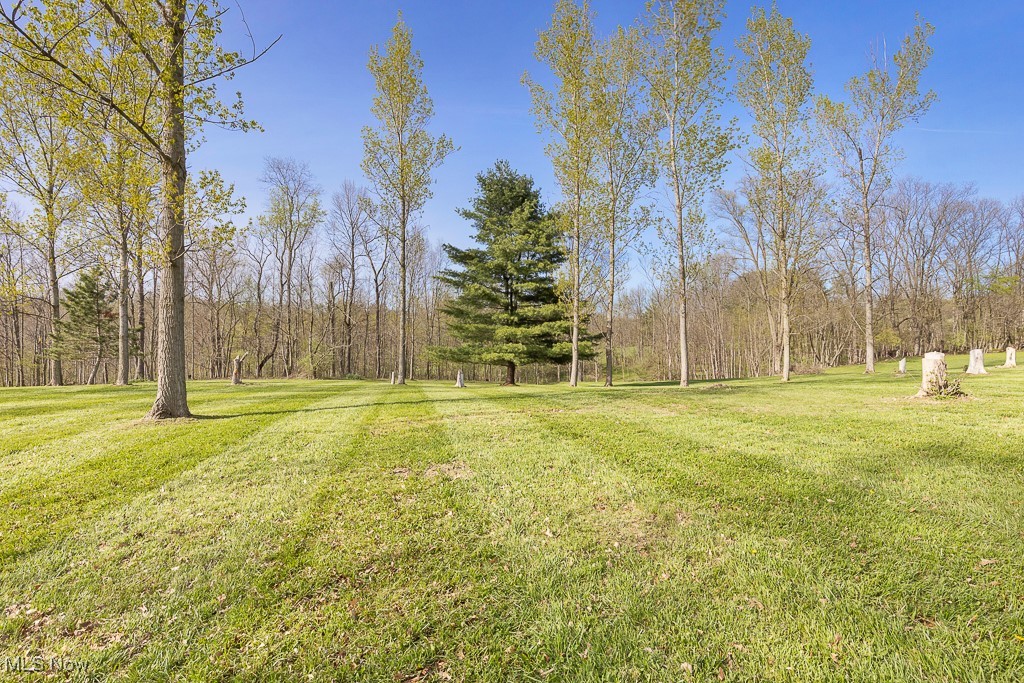 9585 Shaw Road, Spencer, Ohio image 41