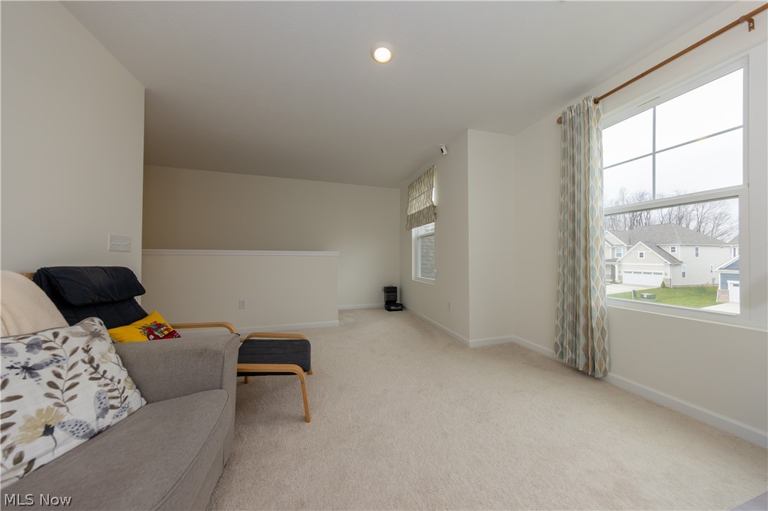 Renaissance Pk/Geauga Lake Ph 2 - Residential