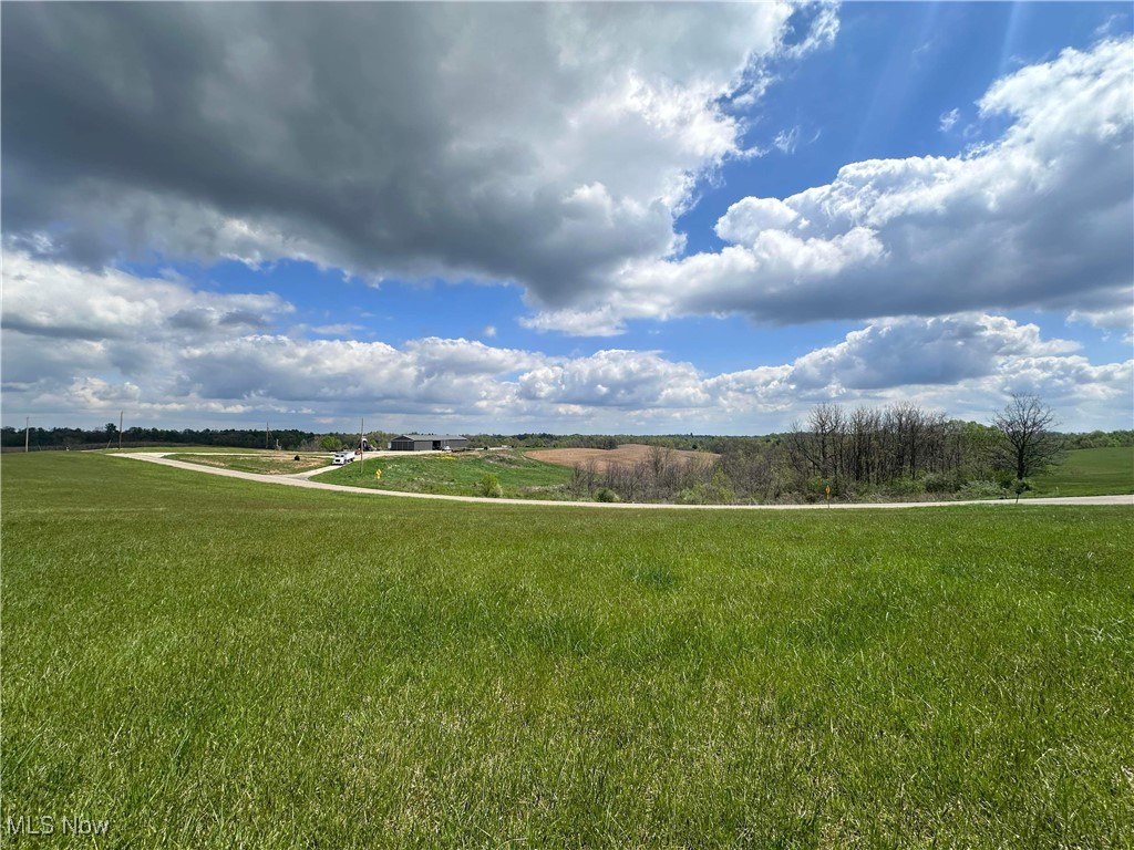 S State Route 555 #38.316 ACRES, Chesterhill, Ohio image 8