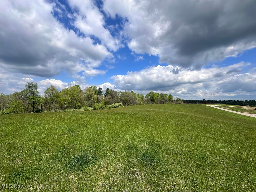 S State Route 555 #38.316 ACRES, Chesterhill, Ohio image 9