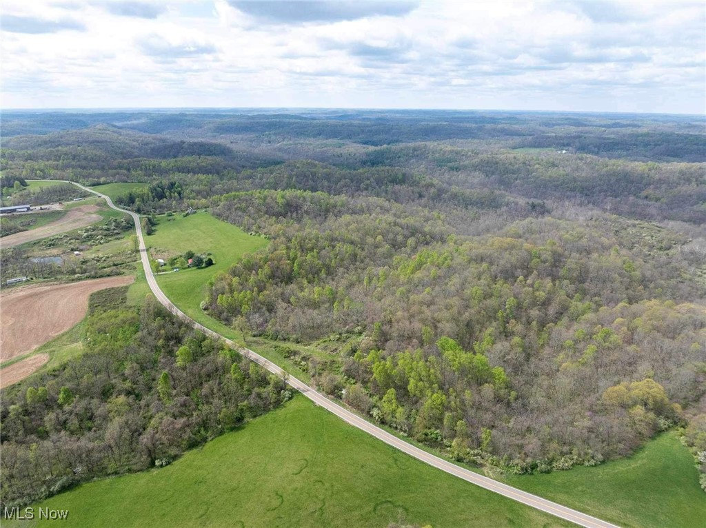 S State Route 555 #38.316 ACRES, Chesterhill, Ohio image 6