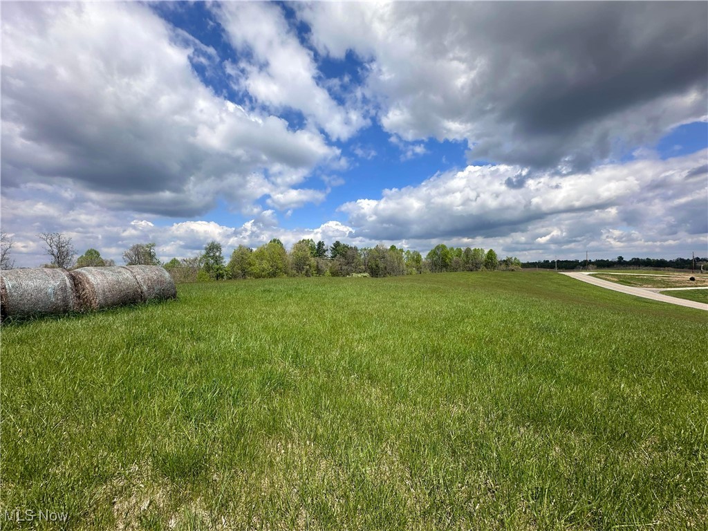 S State Route 555 #38.316 ACRES, Chesterhill, Ohio image 1