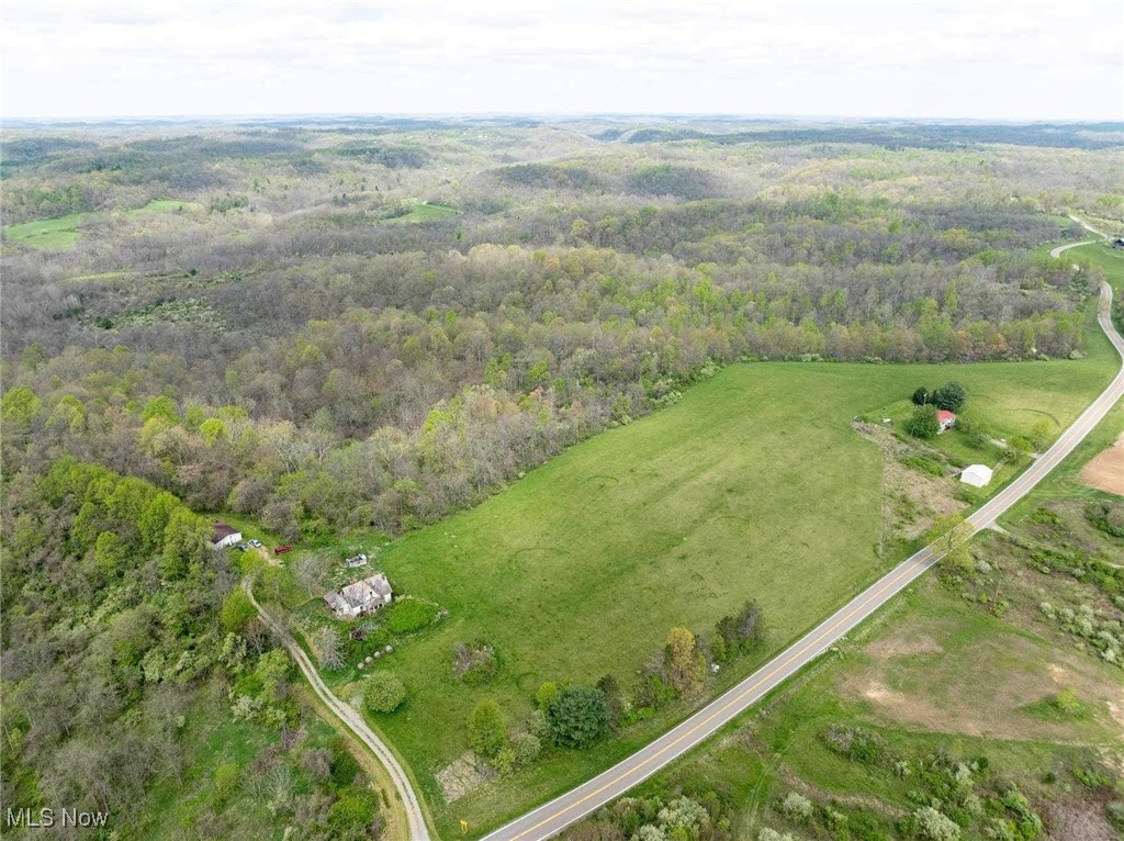 S State Route 555 #38.316 ACRES, Chesterhill, Ohio image 4