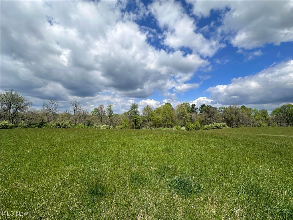 S State Route 555 #38.316 ACRES, Chesterhill, Ohio image 10