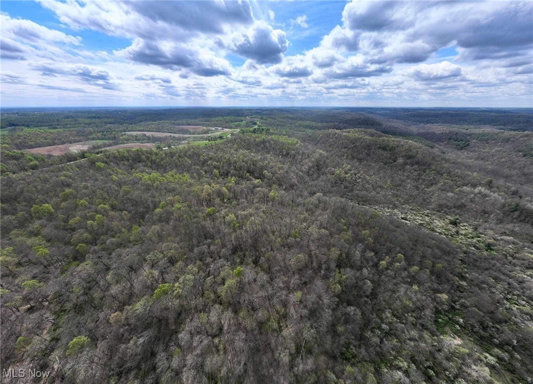 S State Route 555 #38.316 ACRES, Chesterhill, Ohio image 13