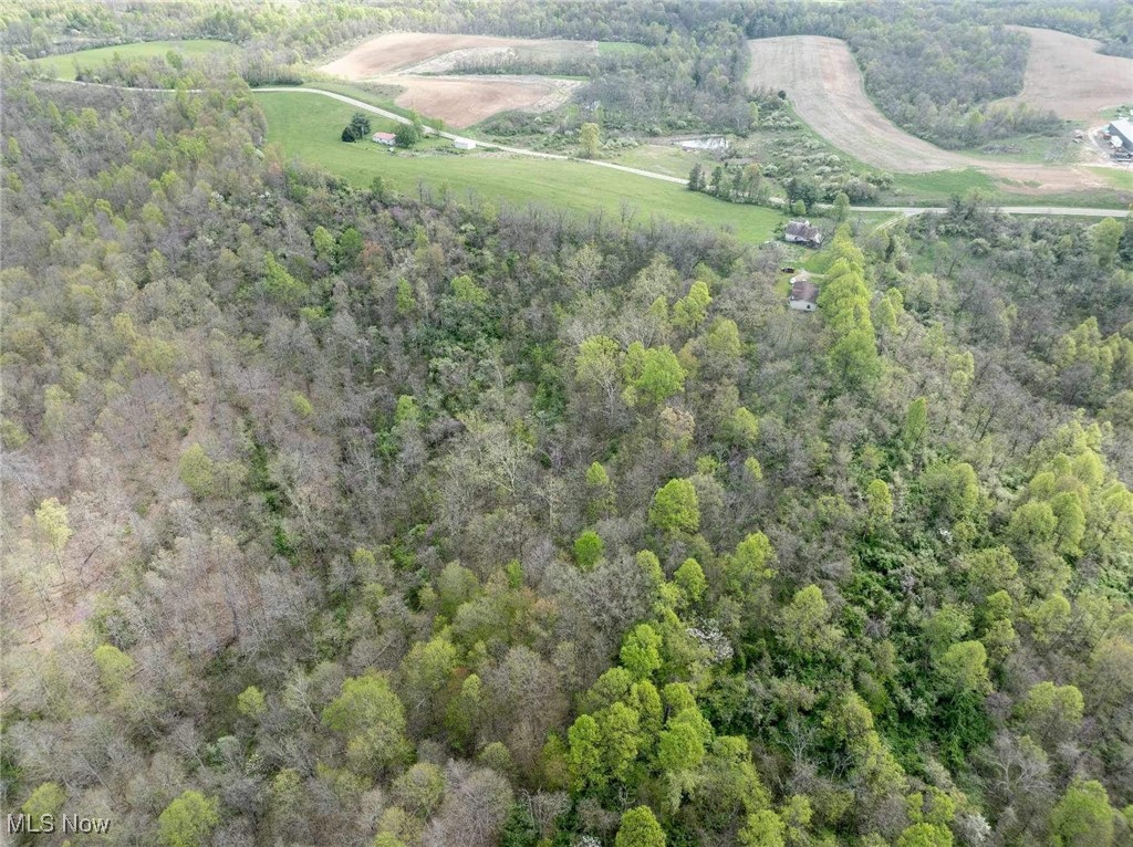 S State Route 555 #38.316 ACRES, Chesterhill, Ohio image 12