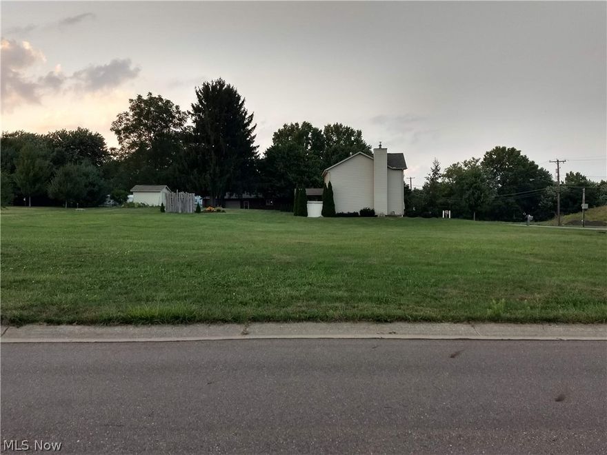 Great opportunity to build your dream house in Dalton Local Schools.  Large lot, city utilities, and in a neighborhood of newer homes.  Bring your builder and build your dream home!