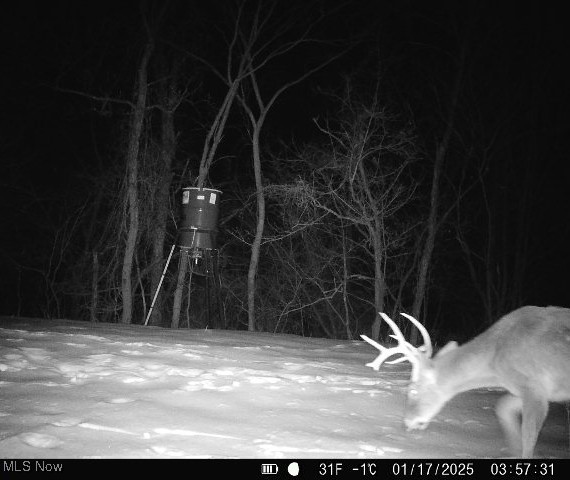 Wolfe Run Road, Belleville, West Virginia image 22
