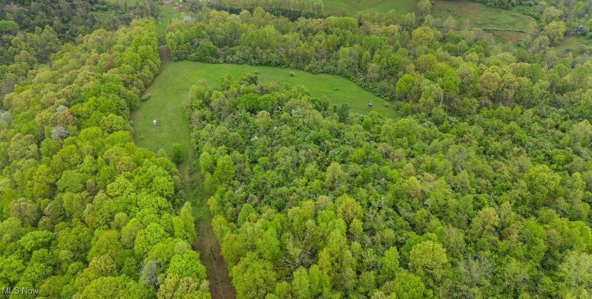 Wolfe Run Road, Belleville, West Virginia image 13
