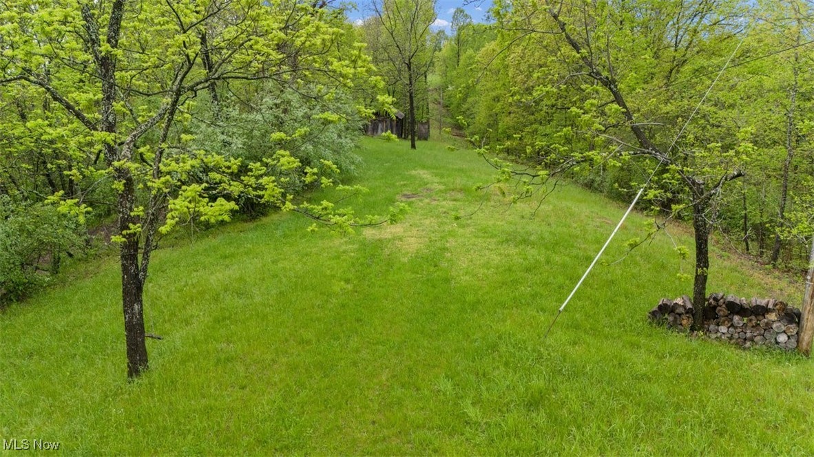 Wolfe Run Road, Belleville, West Virginia image 9