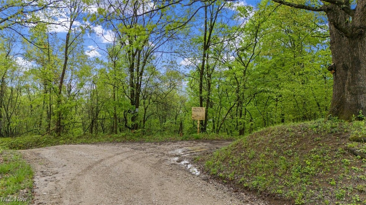 Wolfe Run Road, Belleville, West Virginia image 2