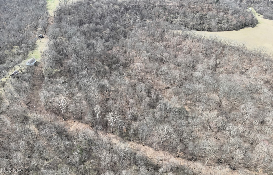 Wolfe Run Road, Belleville, West Virginia image 38