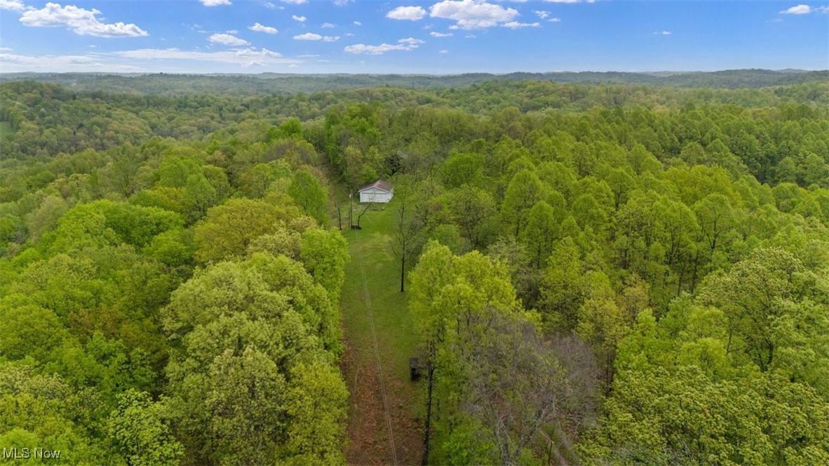 Wolfe Run Road, Belleville, West Virginia image 17