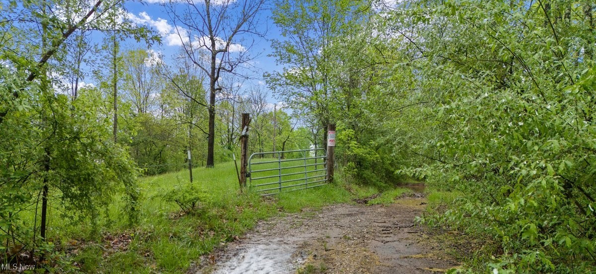 Wolfe Run Road, Belleville, West Virginia image 5