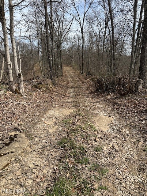 Wolfe Run Road, Belleville, West Virginia image 30