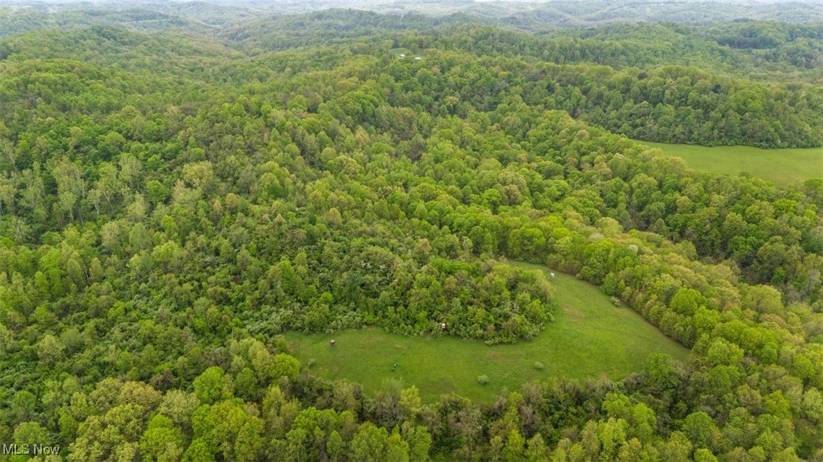 Wolfe Run Road, Belleville, West Virginia image 12