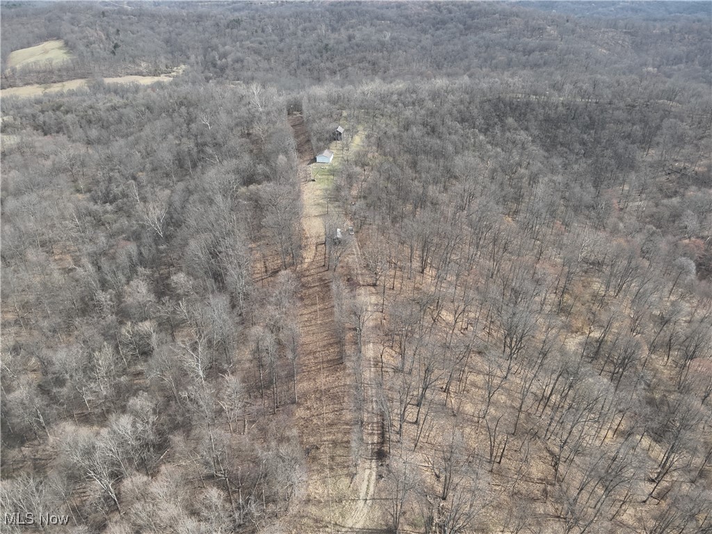 Wolfe Run Road, Belleville, West Virginia image 36