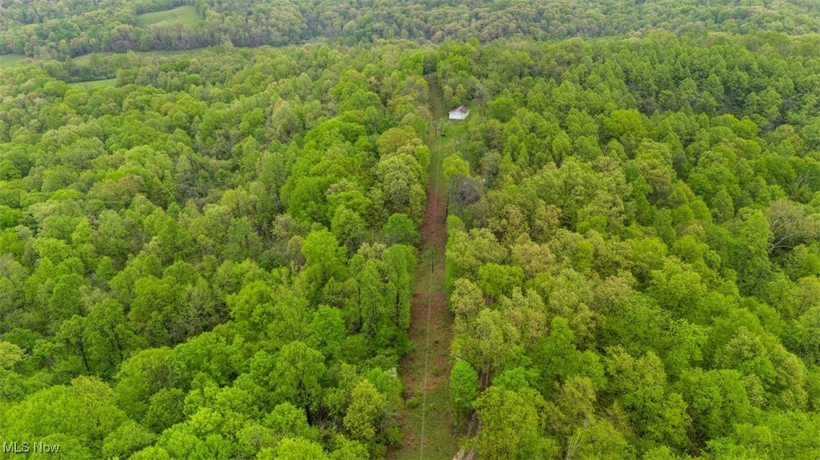 Wolfe Run Road, Belleville, West Virginia image 15