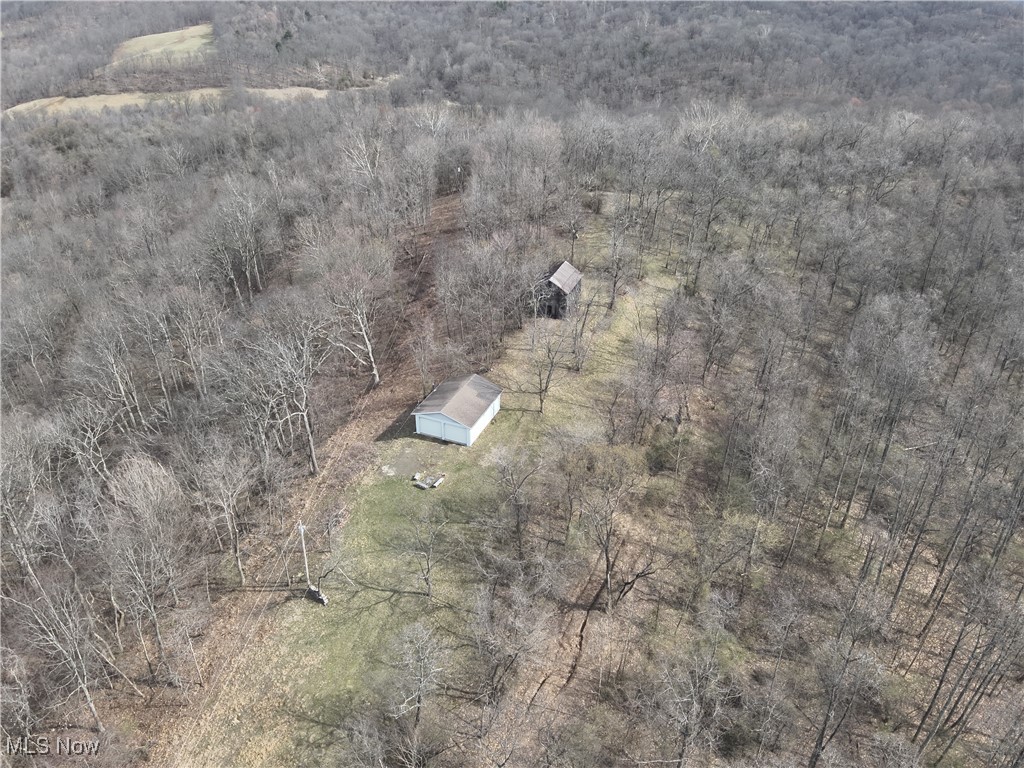 Wolfe Run Road, Belleville, West Virginia image 33