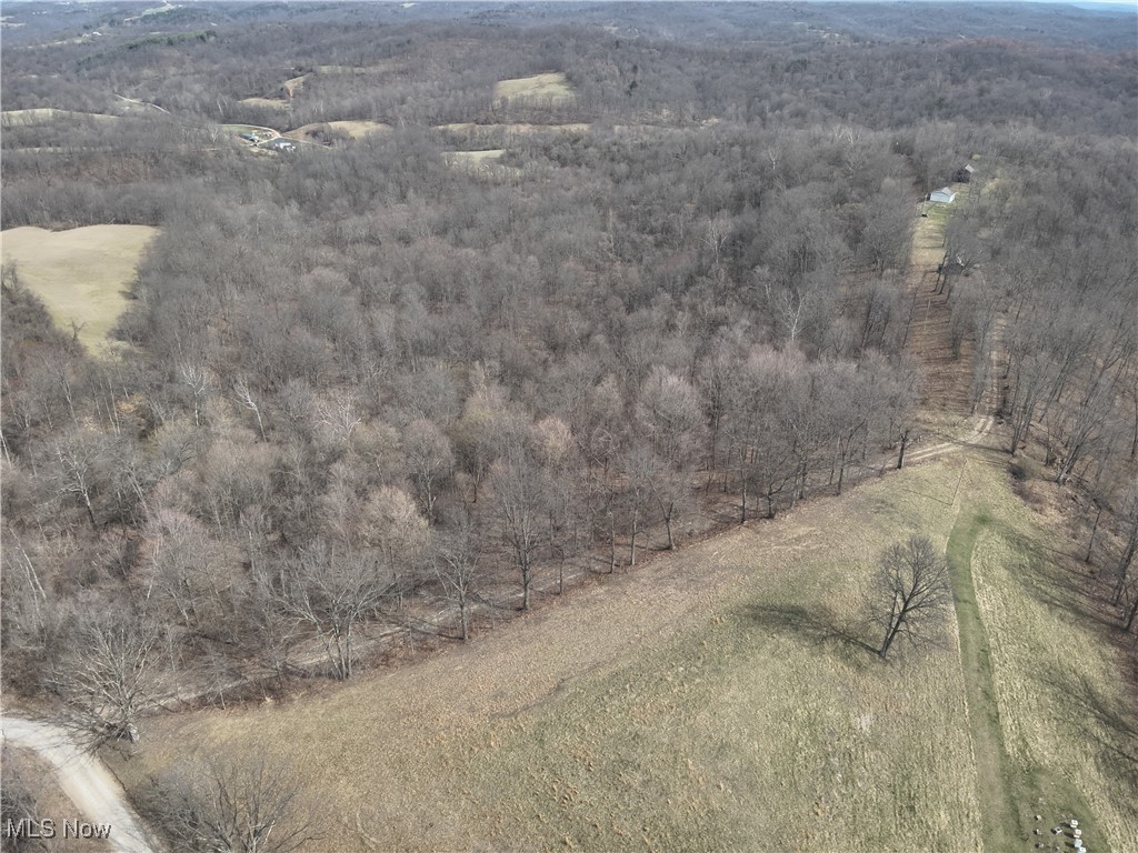 Wolfe Run Road, Belleville, West Virginia image 37
