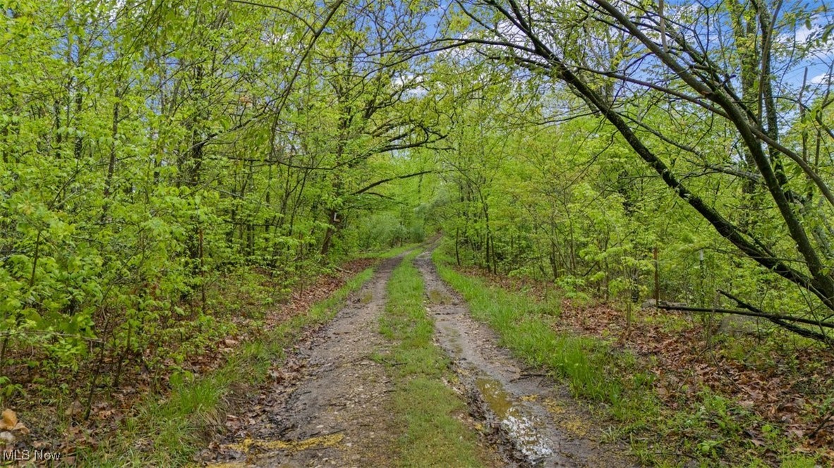 Wolfe Run Road, Belleville, West Virginia image 4