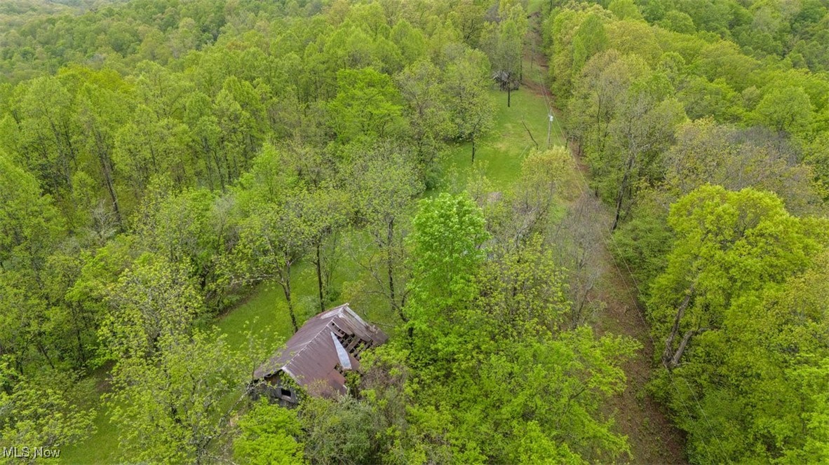 Wolfe Run Road, Belleville, West Virginia image 14