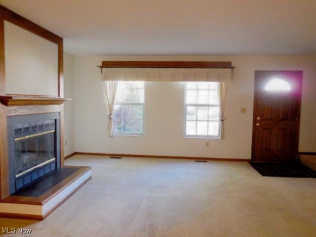 Brook Point Village Condo - Residential