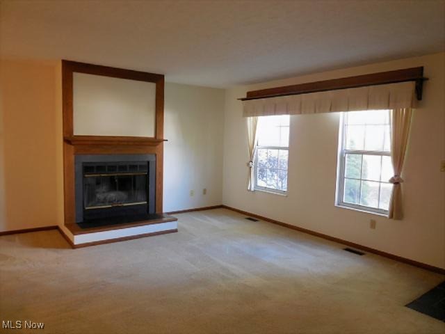 Brook Point Village Condo - Residential