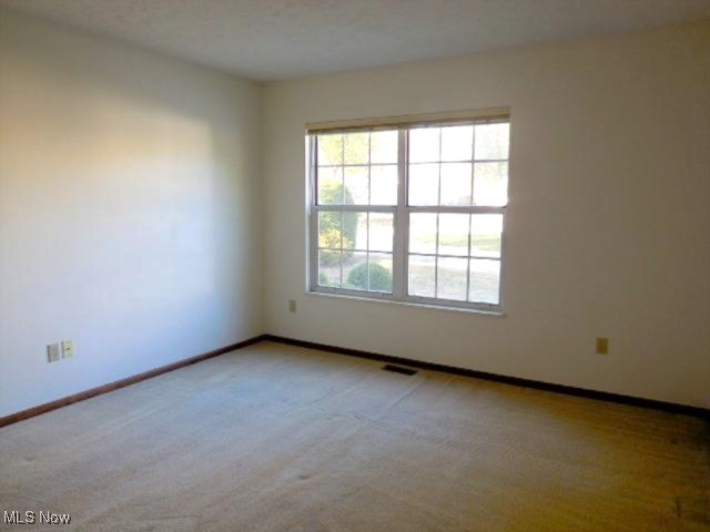 Brook Point Village Condo - Residential