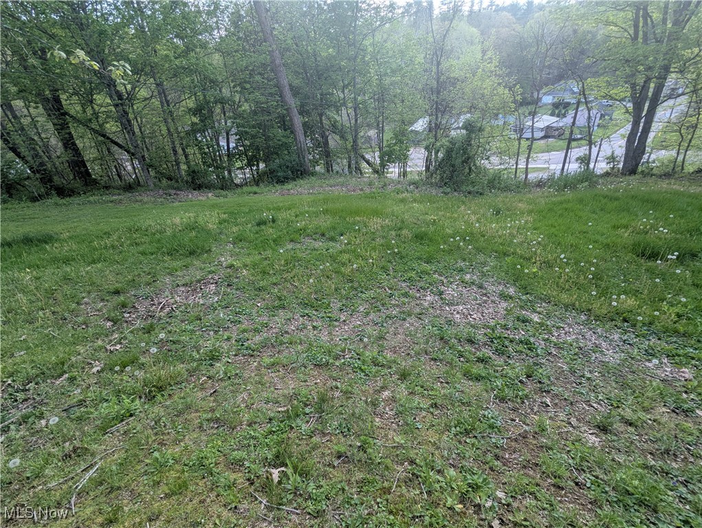200 Ann Street, New Straitsville, Ohio image 40