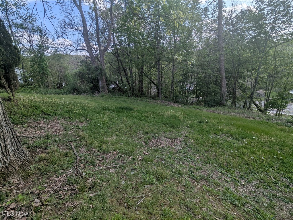 200 Ann Street, New Straitsville, Ohio image 41