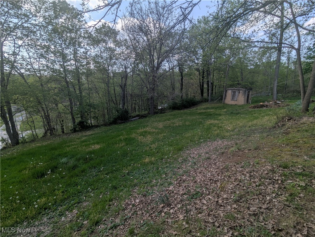 200 Ann Street, New Straitsville, Ohio image 42
