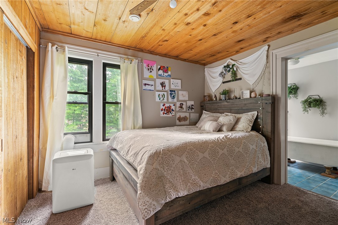 Leetonia Iron & Coal Co - Residential