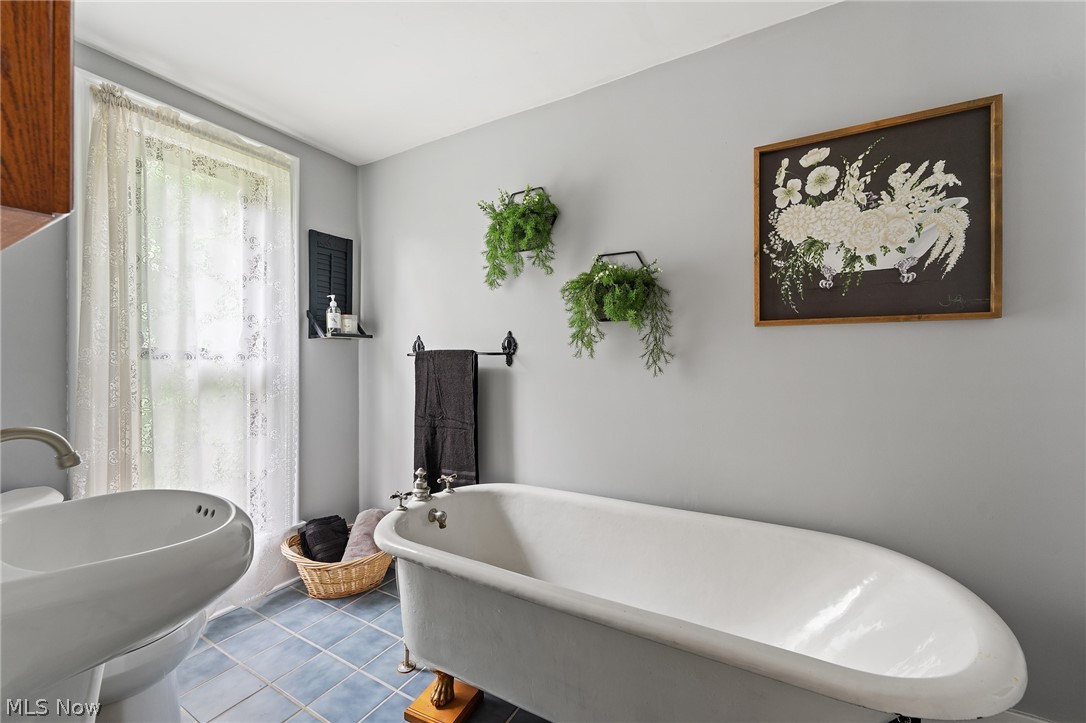 Leetonia Iron & Coal Co - Residential