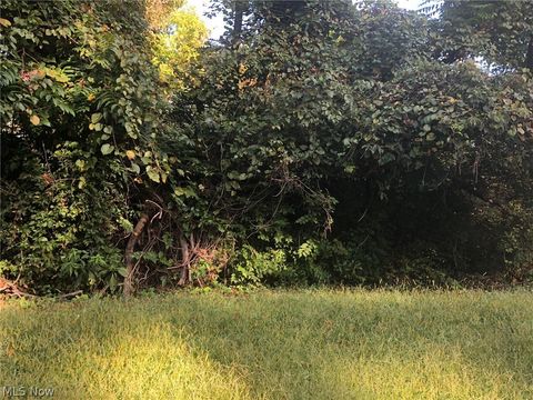 Vacant Land For Sale - 1235 Murdoch Avenue<br/> Wood County, Parkersburg, WV 26101