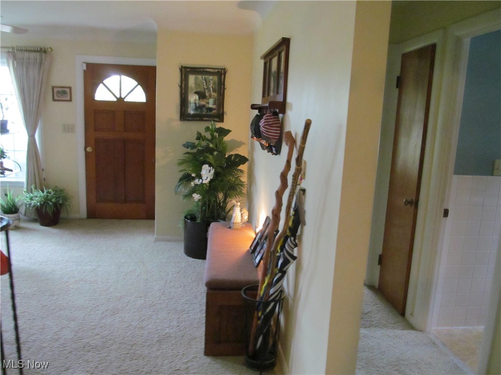 260 E 293rd Street, Willowick, Ohio image 25