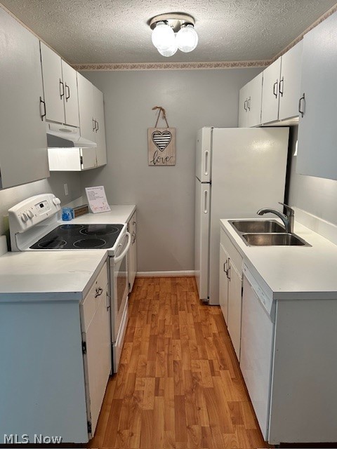 King James South - Residential