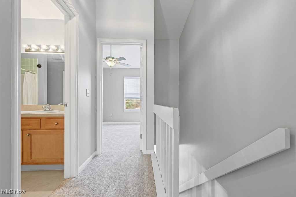 Hickory Rdg Clstr Dev - Residential