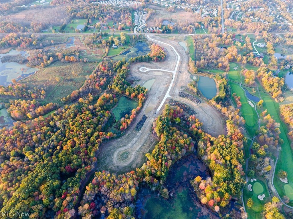Forest Ridge Preserve - Residential