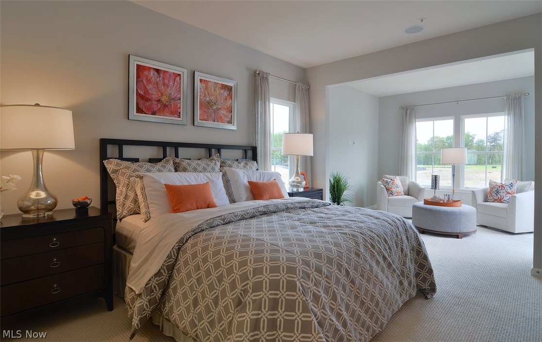 Forest Ridge Preserve - Residential