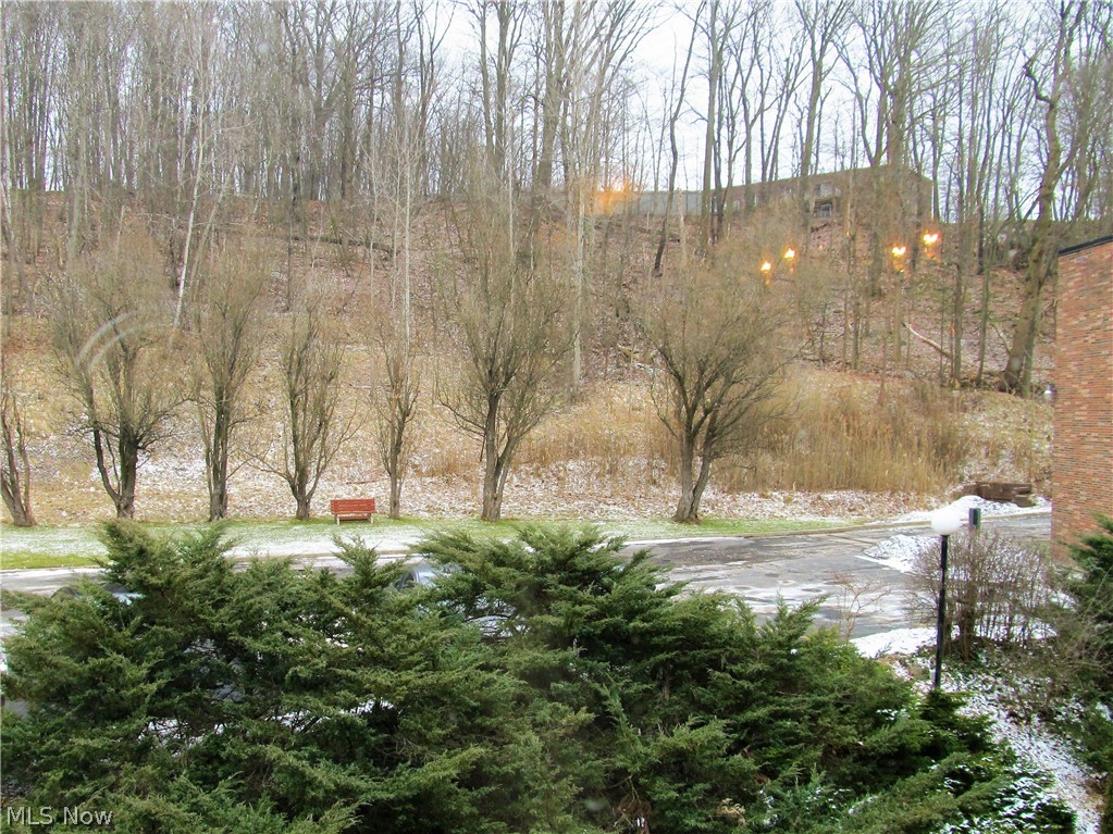 Nob Hill East Condo - Residential