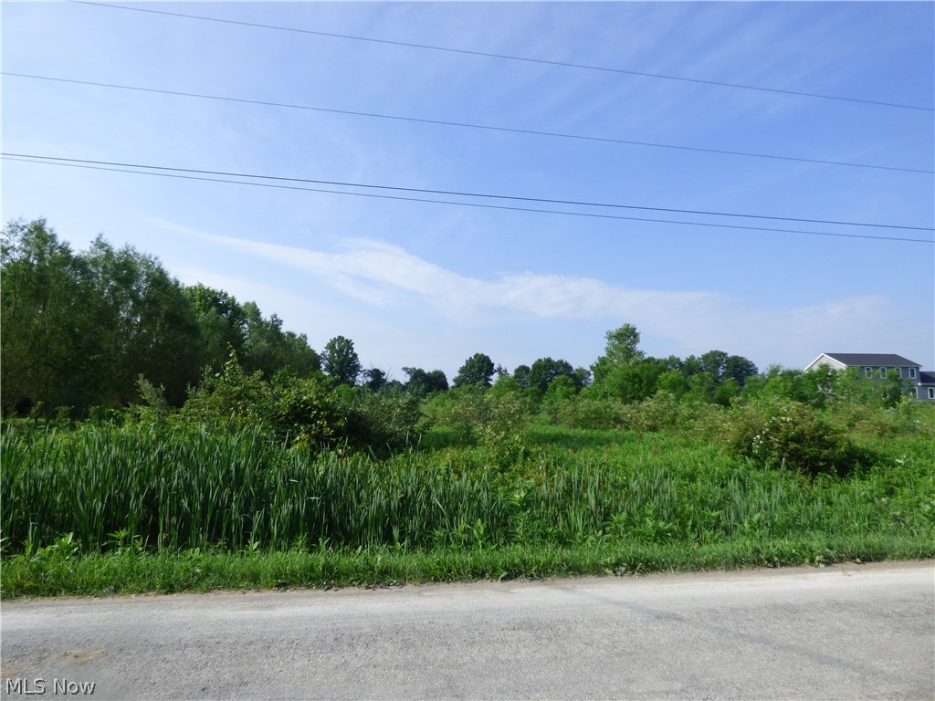 Looking for a quiet country setting, look no further. Almost three acres of gently rolling land, with some trees in Northern Ashland county. A 40 foot culvert has been placed at the western end of the property.