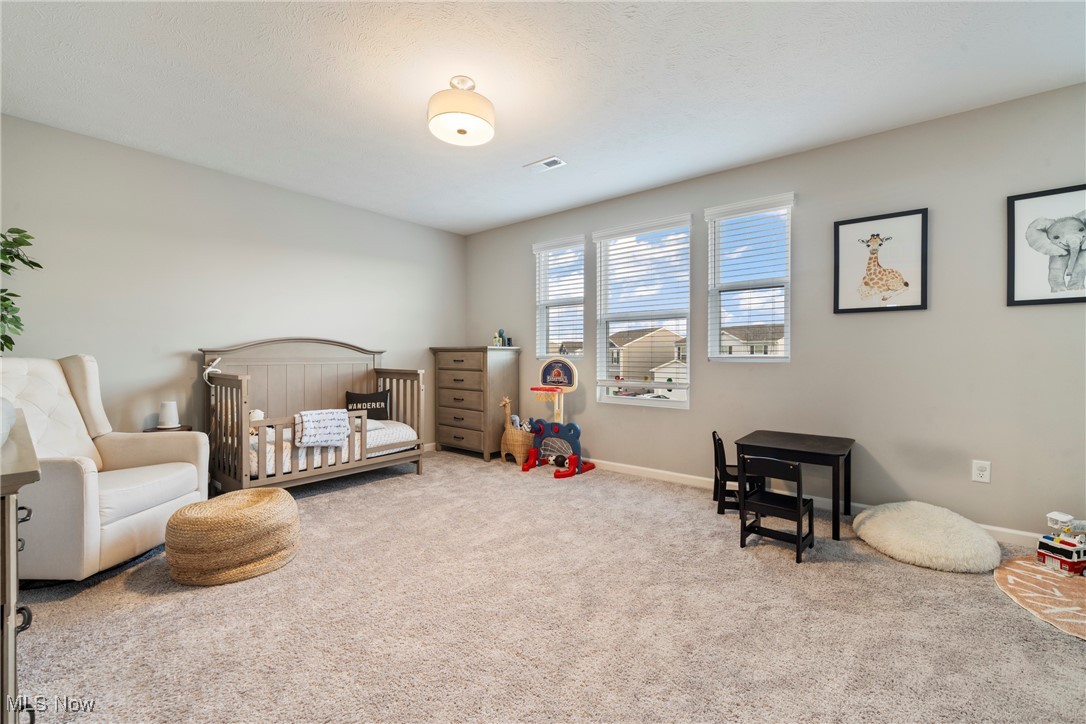 115 N Washburn Road, Tallmadge, Ohio image 29