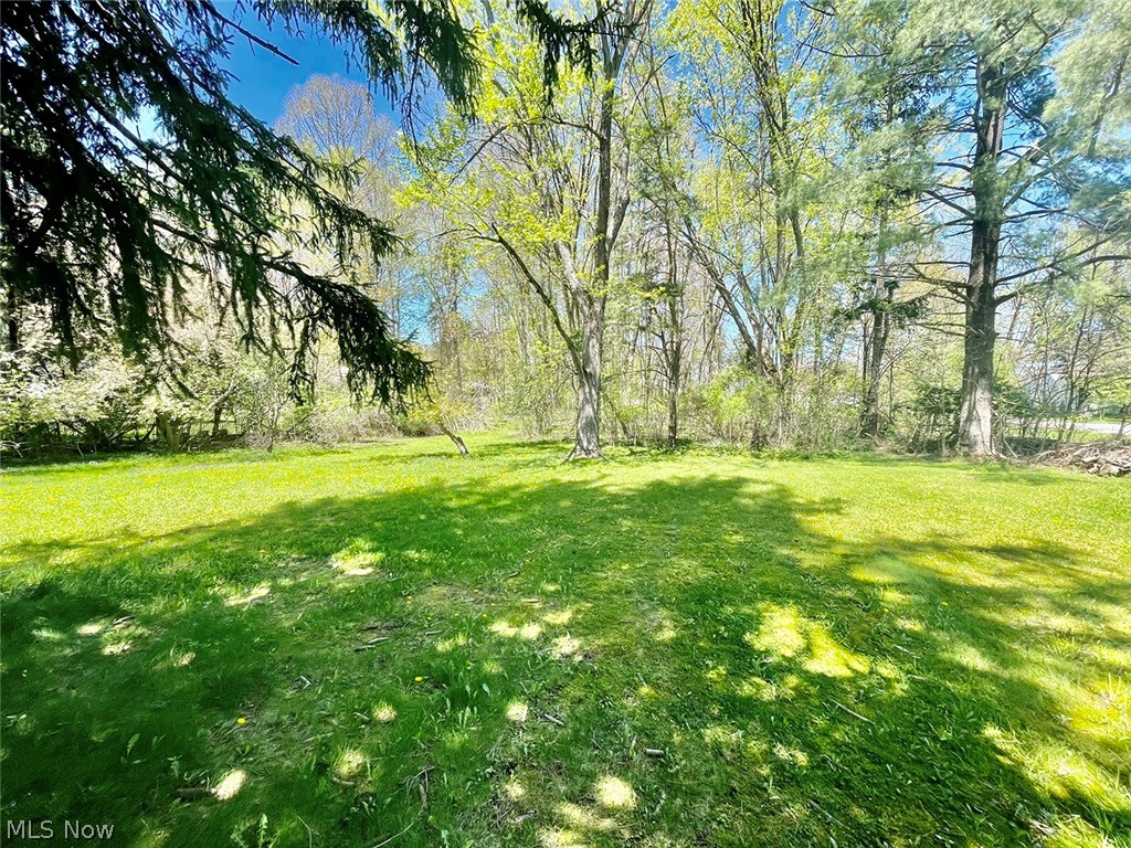 Lloyd E Laffertys Willow Grove - Land