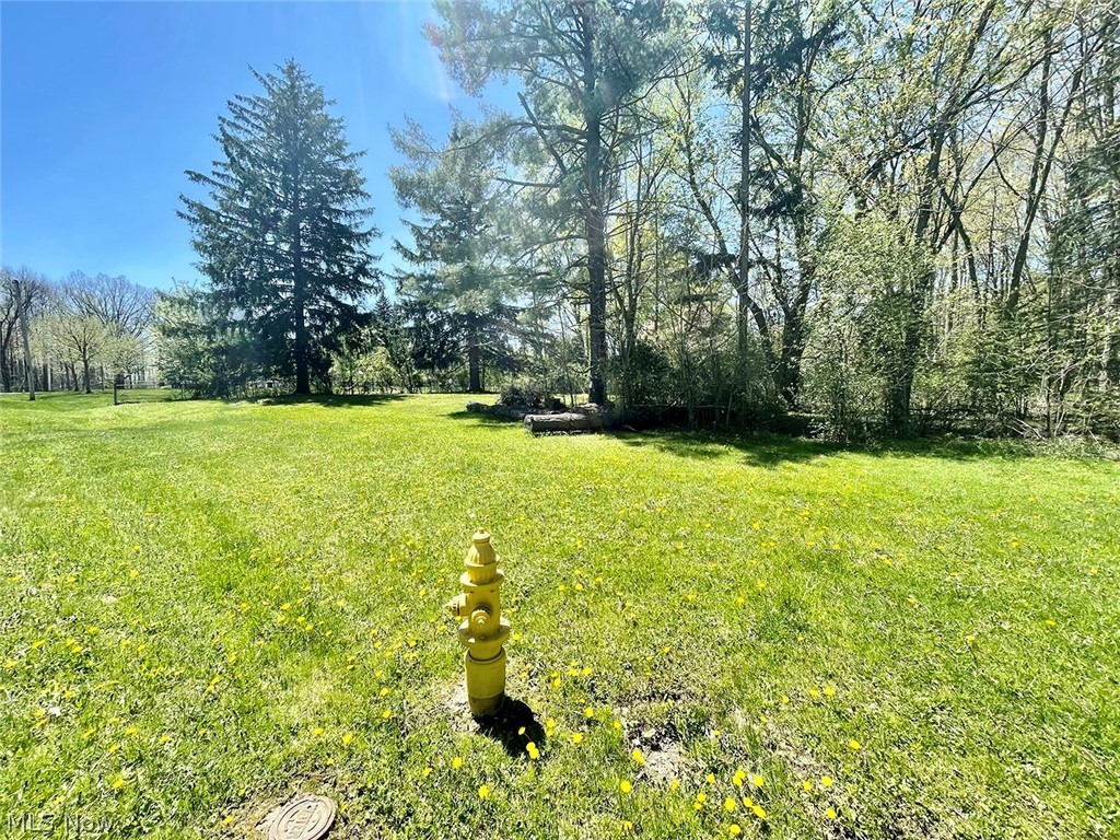 Lloyd E Laffertys Willow Grove - Land