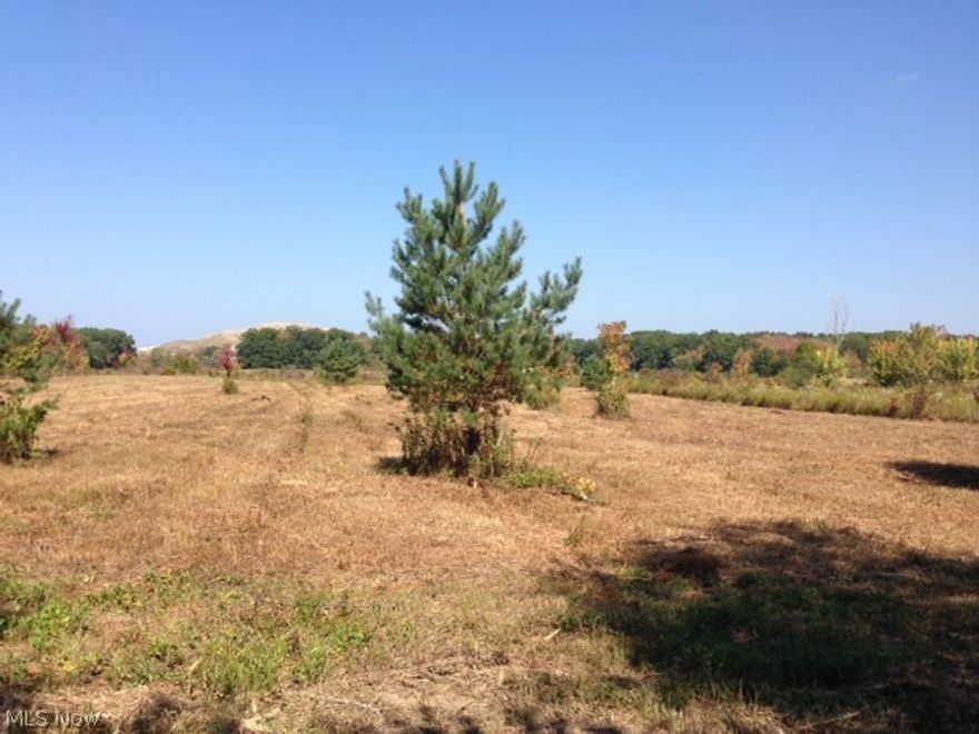 Great opportunity in Harpersfield Twp to purchase 2.9150 vacant acres and build your dream home. Additional land available. Selling agent is related to seller.